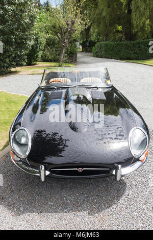 Jaguar E-Type klassische Sportwagen 1966 über Auffahrt, Rakaia, Region Canterbury, Neuseeland Stockfoto