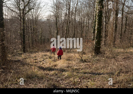 Zwei Jungen erkunden Winter woodland, Sussex, UK. Stockfoto