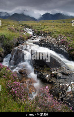 Schnell fließenden Bergbach nach unten Kaskadieren von den Cuillin Hills Bergkette, Isle of Skye, Inneren Hebriden in Schottland. August Stockfoto