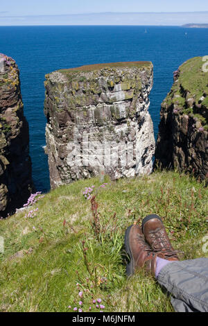 Sightseer entspannend an der Küste von Handa Island, Sutherland, Scottish Highlands, Juni Stockfoto