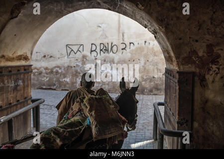 Ein Mann, der auf einem Warenkorb von einem Esel gezogen wird. Sie sind in den Gerbereien in Marrakesch in Marokko. Stockfoto