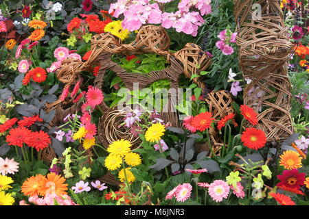 Mutig und schön - ein Aufstand der Farbe und Dichte Bepflanzung in einer Anzeige für einen Sommer im Garten Stockfoto