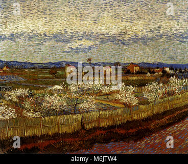 La Crau mit Pfirsich Bäume in Blüte, Van Gogh, Vincent Willem, 1889. Stockfoto