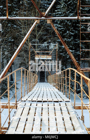 Metal Bridge mit einer Promenade durch einen Winter Forest Schlucht Stockfoto
