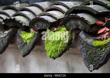 Suzh, Suzh, China. 4 Mär, 2018. Suzhou, China, 4. März 2018: Der bescheidene Administrator Garten ist ein Chinesischer Garten in Suzhou, ein UNESCO-Weltkulturerbe und eine der berühmtesten der Gärten von Suzhou in der ostchinesischen Provinz Jiangsu. Credit: SIPA Asien/ZUMA Draht/Alamy leben Nachrichten Stockfoto