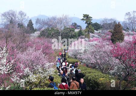 Nanjing in der chinesischen Provinz Jiangsu. 4 Mär, 2018. Besucher Spaziergang unter dem blühende Pflaumenbäume in Plum Blossom Hill in Nanjing in der ostchinesischen Provinz Jiangsu, März 4, 2018. Credit: Li Wenbao/Xinhua/Alamy leben Nachrichten Stockfoto