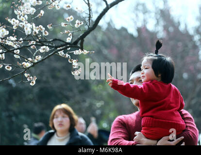 Nanjing in der chinesischen Provinz Jiangsu. 4 Mär, 2018. Besucher Blick auf Pflaume Blüten in Plum Blossom Hill in Nanjing in der ostchinesischen Provinz Jiangsu, März 4, 2018. Credit: Li Wenbao/Xinhua/Alamy leben Nachrichten Stockfoto