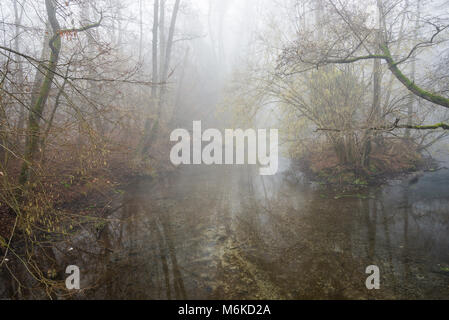 Winter Tessin riverbanks Landschaften Stockfoto