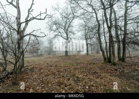 Winter Tessin riverbanks Landschaften Stockfoto