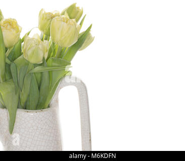 Eine Vase mit Sahne und gelbe Tulpen auf weißem Hintergrund Stockfoto