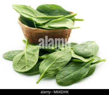 Frischer Spinat auf weißem Hintergrund Stockfoto