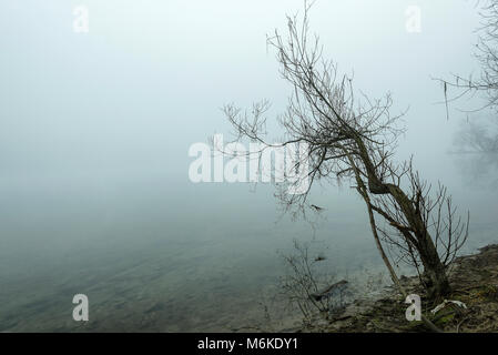 Winter Tessin riverbanks Landschaften Stockfoto