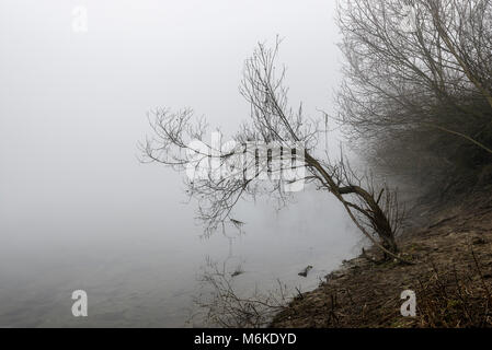 Winter Tessin riverbanks Landschaften Stockfoto