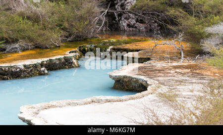 Das Vulkantal Waimangu Silikat Seen, Rotorua, Neuseeland Stockfoto