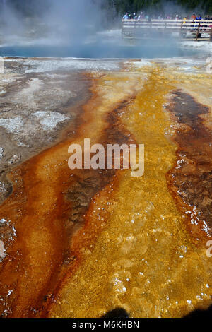 Thermophiles. Thermophiles in stichwahl am Schwarzen Pool in West Thumb Geyser Basin; Stockfoto