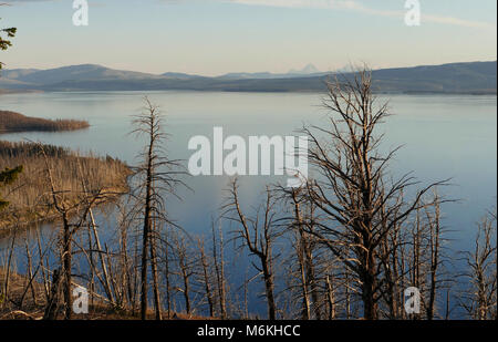 Yellowstone Lake. Yellowstone Lake vom See Butte blicken; Stockfoto