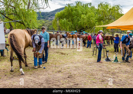 Wettbewerber, die an den König der Bereiche Pferd beschlagen Wettbewerb in Murrurundi, NSW, Australien, 24. Februar 2018. Stockfoto