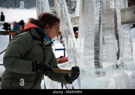 22nd. Januar 2011; Ice Magic Ice Carving Festival, Chateau Lake Louise, Lake Louise, Banff National Park, Alberta, Kanada. Stockfoto