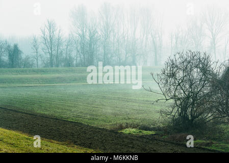 Winter Tessin riverbanks Landschaften Stockfoto