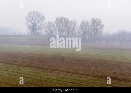 Winter Tessin riverbanks Landschaften Stockfoto