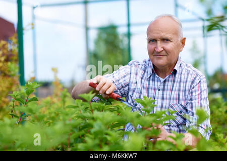 Älterer Mann bei der Arbeit im Garten Stockfoto