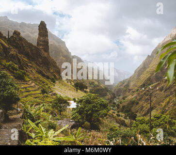 Malerische Schlucht Ribeira da Torre bedeckt mit üppiger Vegetation. Anbau an steilen terrassierten Hügeln Bananen, Zuckerrohr und Kaffee. Xo-Xo tal Santo Antao Kap Verde Cabo Verde Stockfoto