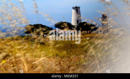 Piedras Blancas Licht Station in San Simeon, Kalifornien Stockfoto