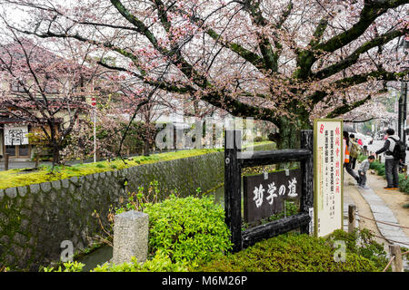 Schöne sakura Kirschblüte während der HANAMI in Tetsugaku-no-Michi (Philosopher's Walk), Kyoto, Japan Stockfoto