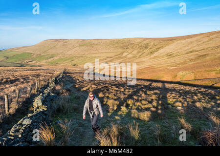 Weibliche Wanderer auf einem Pfad in den Goyt Valley Gegend des Peak District, mit den Katzen Tor/Shining Tor ridge in der Entfernung Stockfoto