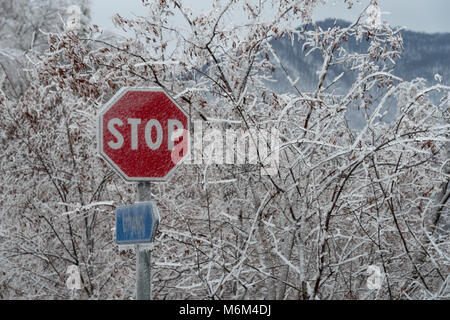 Stop-Schild in Eis nach dem Regen abgedeckt Stockfoto