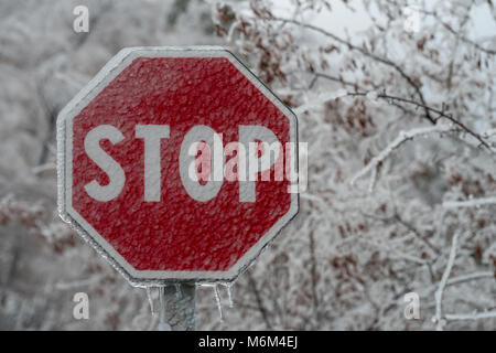 Stop-Schild in Eis nach dem Regen abgedeckt Stockfoto