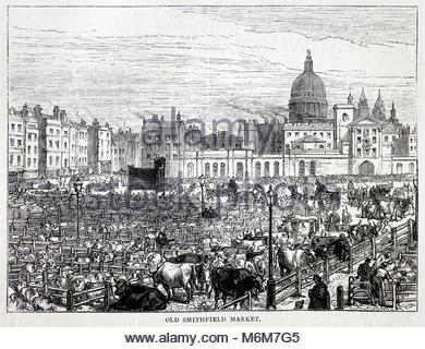 Old Smithfield Market 1855, Vintage-Stich von 1876 Stockfoto
