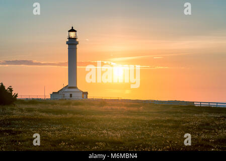 Point Arena Leuchtturm bei Sonnenuntergang in Mendocino County, nördlichen Küste von Kalifornien. Stockfoto