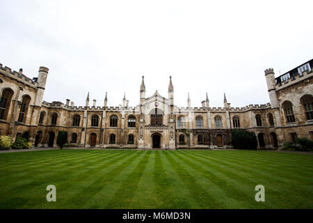 Trinity College Gebäude und Gras in der Universität Cambridge Stockfoto