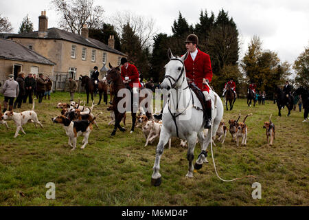 Reiter und Hunde auf einem Fox Hunt Stockfoto