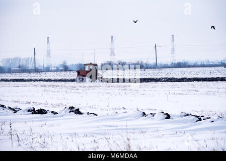 Crawler Traktor pflügen Feld im Winter. Stockfoto