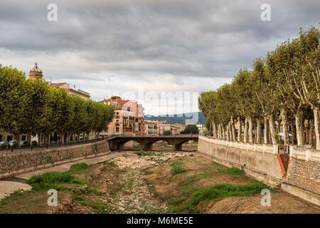 Blick von La Bisbal d'Emporda und der Ebene von Bäumen gesäumten Avenue Passeig Marimon Asprer' auf dem Ufer des Riu Daro, Baix Emporda, Katalonien, Spanien Stockfoto