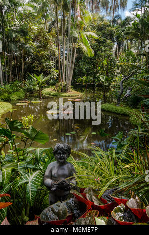 Der Singapore Botanic Gardens ist ein 158-Jahre alten tropischen Garten. Es ist eines von drei Gärten, als UNESCO-Weltkulturerbe ausgezeichnet zu werden. Stockfoto