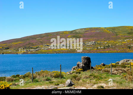 See im Frühling im Naturpark Serra da Estrela, Portugal Stockfoto