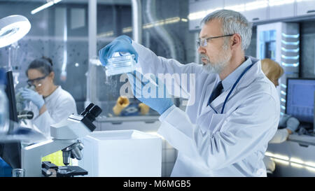 Senior Medical Research Scientist öffnet sich Kühlschrank, Rauch aus. Er arbeitet in einem modernen Labor. Stockfoto