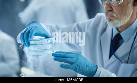 Nahaufnahme einer medizinischen Forschung Wissenschaftler hält kalten Petrischale mit Proben. Er arbeitet in einem modernen Labor. Stockfoto