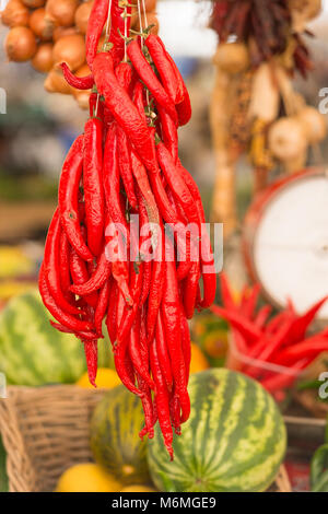 Red Hot Chili am Markt hängen an den Campo de' Fiori, Rom, Italien. Stockfoto