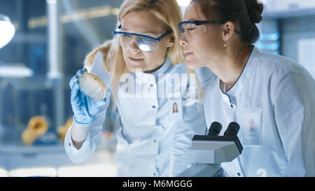 Medizinische Forschung Wissenschaftler untersuchen Petrischale Muster und Proben unter dem Mikroskop betrachten. Sie arbeiten in einem modernen Labor. Stockfoto