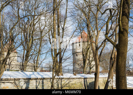 Landschaft Blick auf die Altstadt Stadtmauer, Tallinn, Estland im Februar 2018. Stockfoto