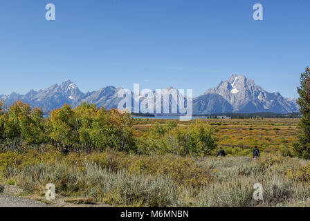 Querformat der Grand Tetons mit Wiese im Vordergrund Stockfoto