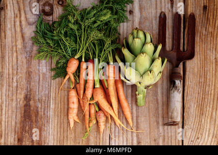 Kleine Karotten, Artischocken und Rechen auf einen alten Holztisch Stockfoto