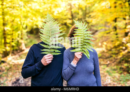 Senior Paar auf einem Spaziergang im Herbst Wald. Stockfoto