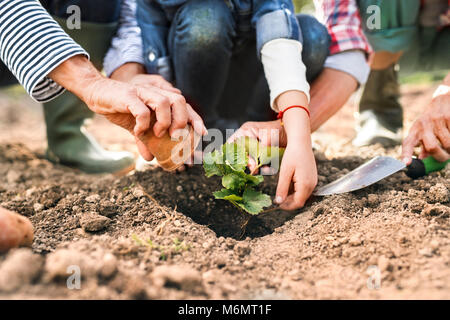 Senior Paar mit Enkelin Gartenarbeit in den Garten im Hinterhof. Stockfoto