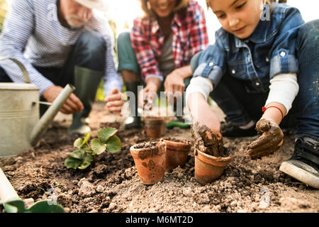 Senior Paar mit Enkelin Gartenarbeit in den Garten im Hinterhof. Stockfoto