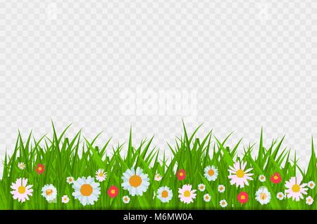 BrighGrass und Blumen Grenze, Grußkarte deko Element für Ostern auf einen transparenten Hintergrund. Vektor Illustrationt saftig grüne Gras auf einen transparenten Hintergrund. Vector Illustration. Stock Vektor